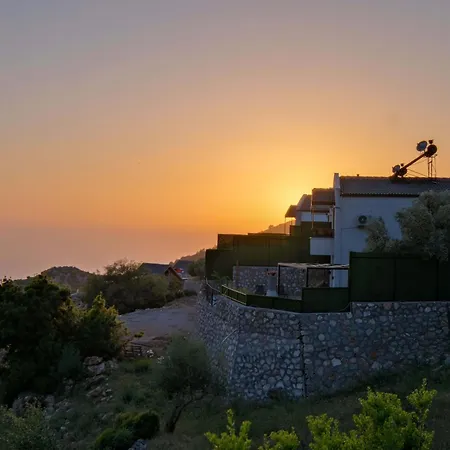 Sole فيلة فتحية